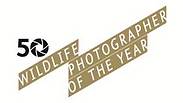 צילום:  Wildlife Photographer of the Year 2014 