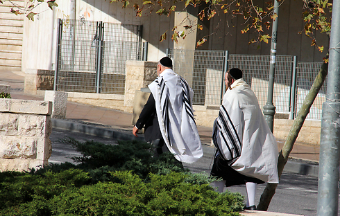 צילום: shutterstock צילום: shutterstock