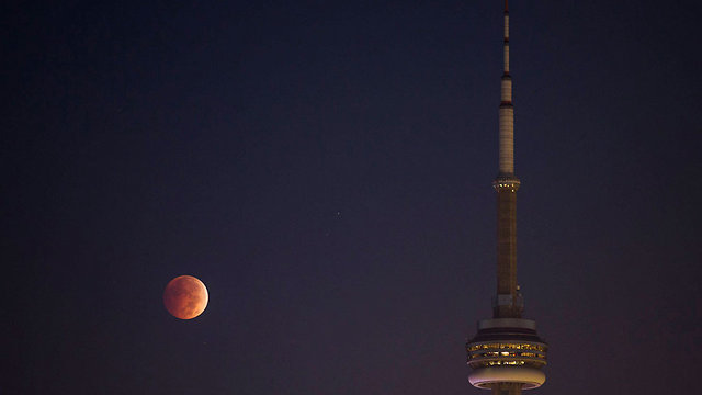 ירח אדום בשמיים של טורונטו, קנדה (צילום: רויטרס) (צילום: רויטרס)