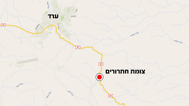 האזור שבו אירעה התאונה (צילום: google maps) (צילום: google maps)