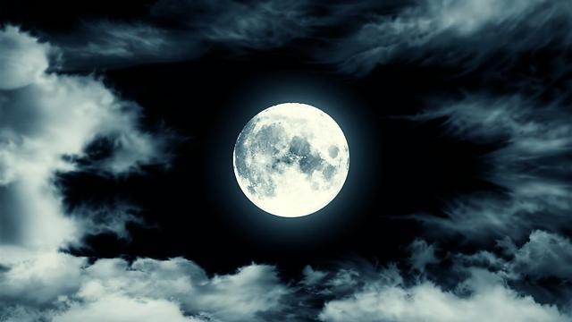 מה מביא עמו מולד הירח? (צילום: shutterstock) (צילום: shutterstock)
