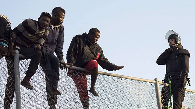 אם לא דרך הים אז דרך גדרות התיל. מהגרים אפריקנים במלייה, מובלעת ספרדית בצפון אפריקה (צילום: AFP) (צילום: AFP)