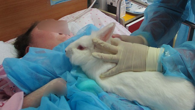 Hugging hour with the animals (Photo: Herzog Hospital Spokesman) (Photo: Herzog Hospital Spokesman)