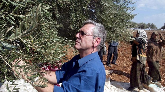 Picking olives in the West Bank in 2002 (Photo: Tzvika Tishler) (Photo: Tzvika Tishler)