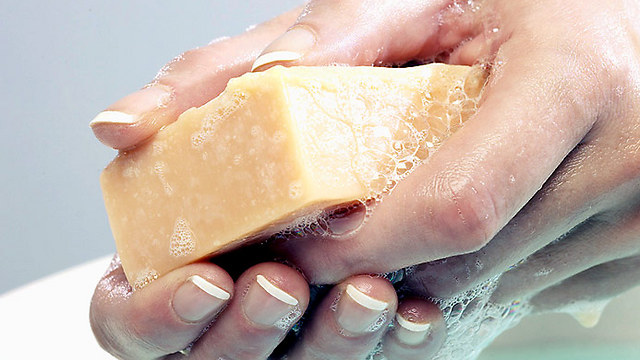 שמירה על היגיינה. שטיפת ידיים בסבון עוצר את הטיפוס (צילום: ויז'ואל/פוטוס) (צילום: ויז'ואל/פוטוס)