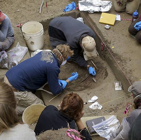"עצמות האדם הצעיר ביותר שהתגלו אי פעם בצפון אמריקה" (צילום: AP) (צילום: AP)