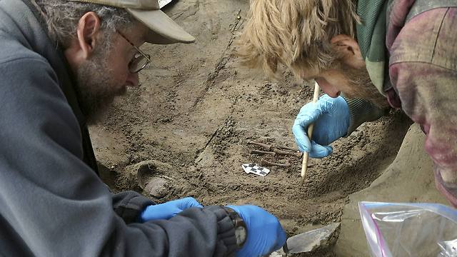שרידי העצמות שהתגלו באלסקה (צילום: AP) (צילום: AP)
