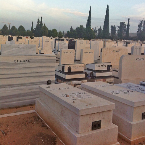 בית הקברות בכפר סבא (צילום: אבי חי) (צילום: אבי חי)