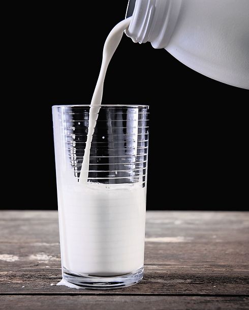 חלב עיזים. הקרוב ביותר בהרכבו לחלב אם (המחשה: ShutterStock) (המחשה: ShutterStock)