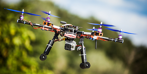 צילום: Shutterstock צילום: Shutterstock