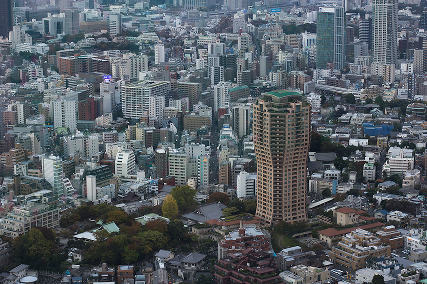 טוקיו. חוגגים כמו שרק הם יודעים (צילום: רונה פפר)