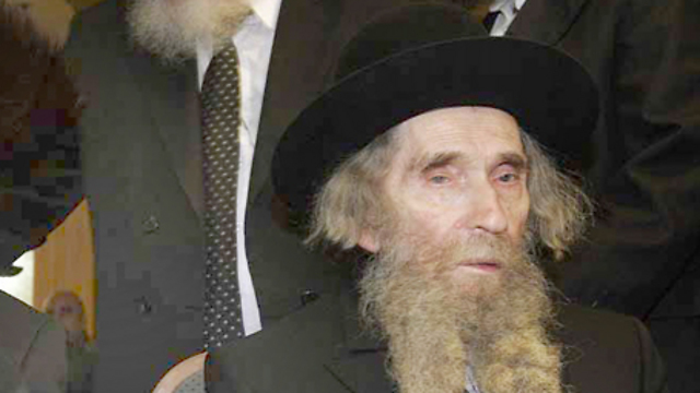 Rabbi Shteinman (Photo: Haim Tzach)