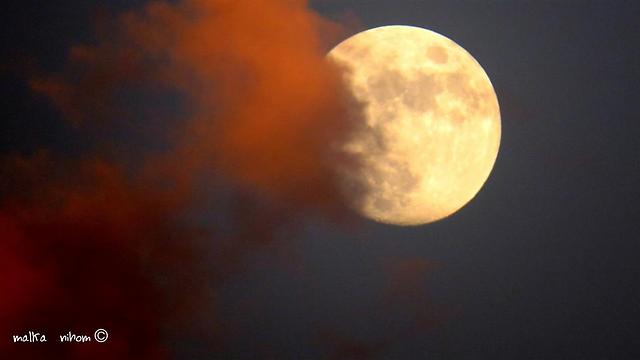 ירח מלא בציר תאומים קשת שמביא איתו אור חדש לחיינו (צילום: malka nihom) (צילום: malka nihom)