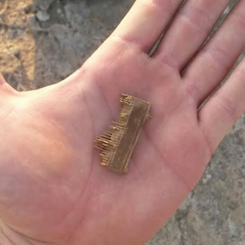 2,000-year-old hair comb stolen by suspects (Photo: Israel's Antiquities Authority) (Photo: Israel's Antiquities Authority)