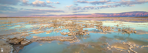 בריכות מלח ליד נווה זוהר, ים המלח (צילום: איתי בודל)