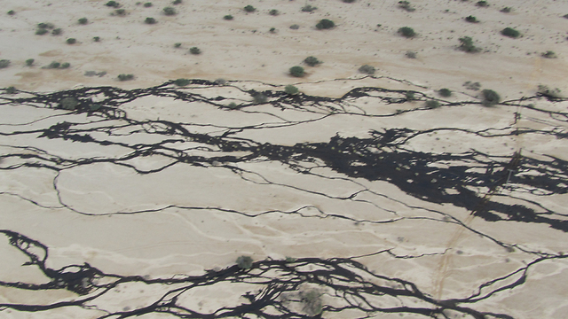 נזקי נפט בערבה בשנת 2014 (צילום: דוברות המשרד להגנת הסביבה) (צילום: דוברות המשרד להגנת הסביבה)