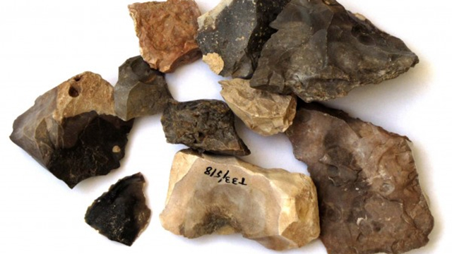 The artifacts used to determine when humans began using fire (Photo: Ron Shimelmitz) (Photo: Ron Shimelmitz)
