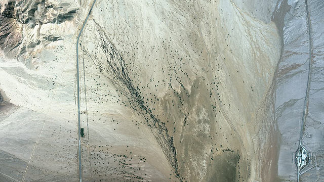 הערבה השחורה, במבט מהחלל (צילום: DigitalGlobe / Google) (צילום: DigitalGlobe / Google)