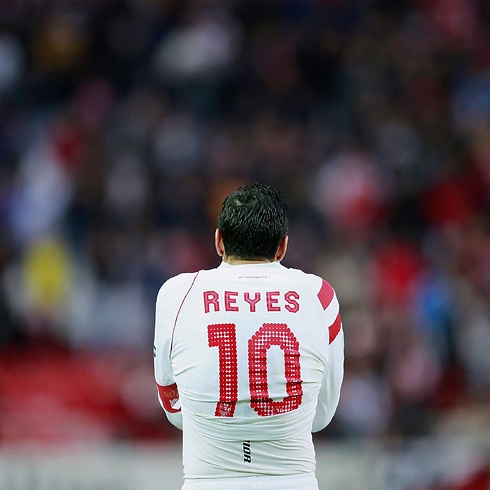 צילום: רויטרס צילום: רויטרס