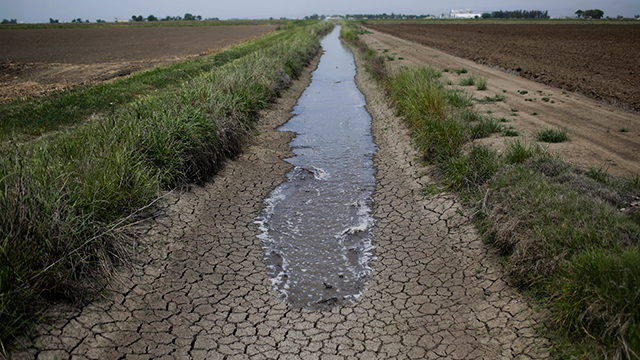 מי השקייה בשדה יבש בקליפורניה מוכת הבצורת. צילום: ג'אה ס. הונג (צילום: AP) (צילום: AP)