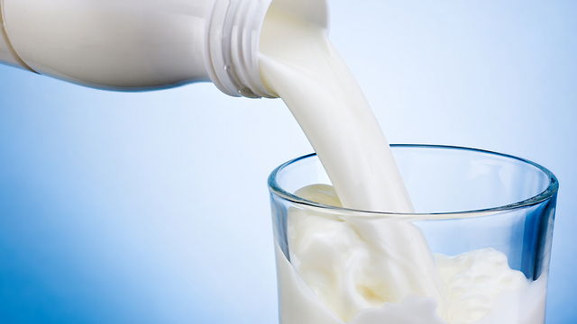 סידן בגוף. לאכול מוצרים עשירים בסידן כגון חלב ומוצריו (צילום: shutterstock) (צילום: shutterstock)