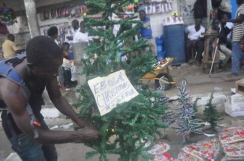 עץ חג מולד למכירה בליבריה. הממשלה אסרה על חגיגות מחשש להתפשטות האבולה (צילום: AP) (צילום: AP)