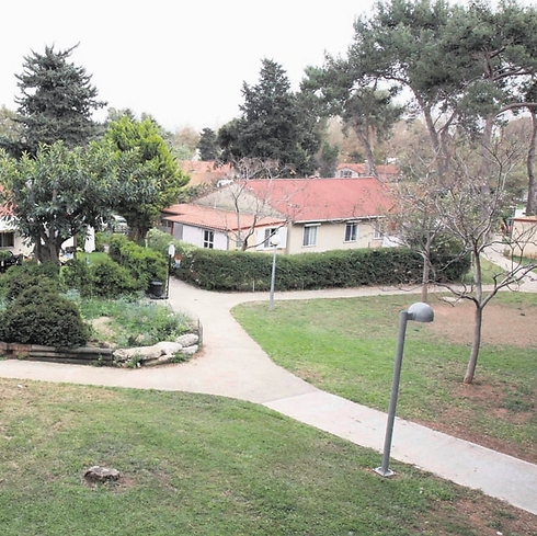 צילום: נמרוד גליקמן צילום: נמרוד גליקמן