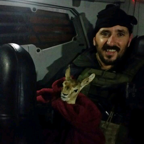 The fawn was taken to the Jerusalem Biblical Zoo, where he received vaccinations. (Photo: Israel Police Spokesman's Unit) (Photo: Police Spokesman)