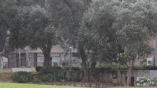 גשם בכפר סבא (צילום: עידו ארז) (צילום: עידו ארז)