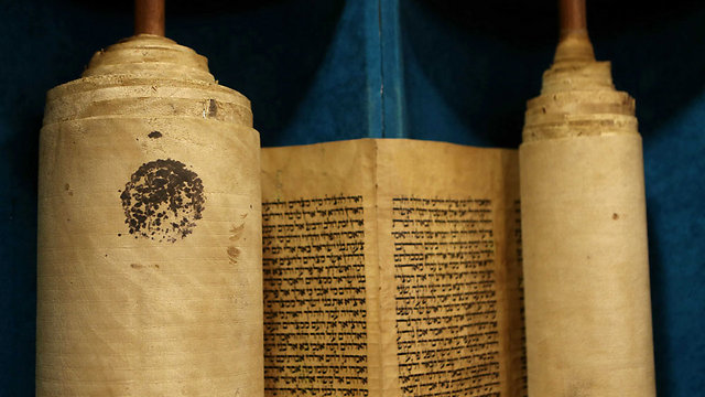 Torah scroll after restoration process (Photo: Alex Kolomoisky)