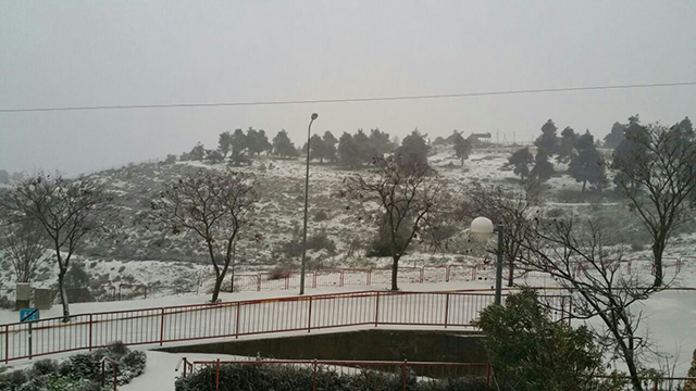 Snow in Safed (Photo: Tamar Engel)