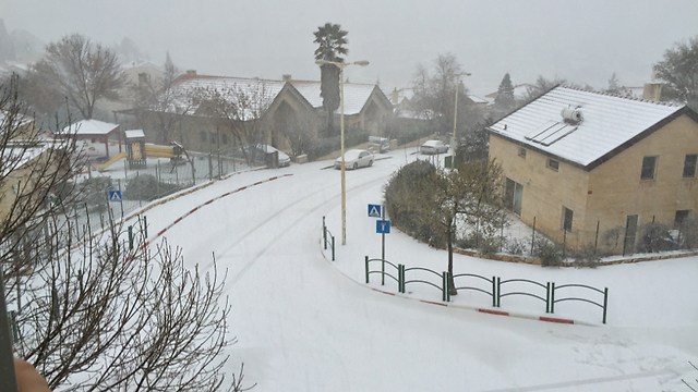 שלג באפרת (צילום: נתנאל) (צילום: נתנאל)