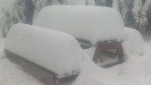 שלג רב בקיבוץ אלרום ברמת הגולן (צילום: נתי מוסרי) (צילום: נתי מוסרי)