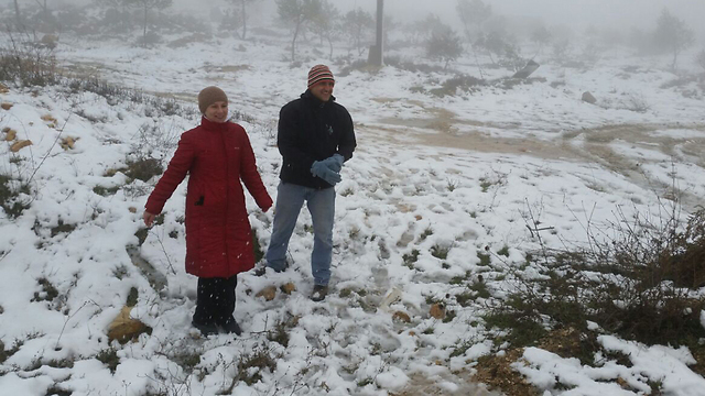 שלג ביתיר. באזור חברון מצפים לכמויות שלג נכבדות מהלילה (צילום: הרצל יוסף) (צילום: הרצל יוסף)