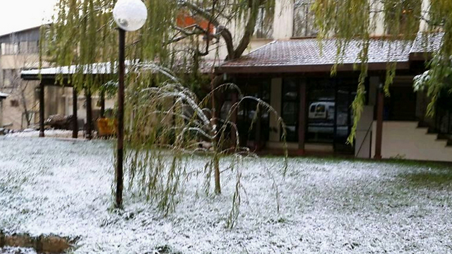 שלג במטולה (צילום: מרים הוד) (צילום: מרים הוד)