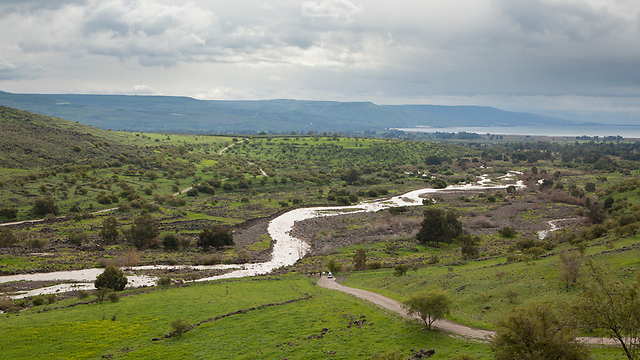 הזרימה בנהר הירדן (צילום: יפתח חבלין) (צילום: יפתח חבלין)
