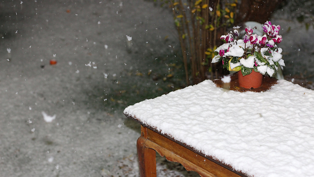 Wintry weather in northern Israel (Photo: Sheri Cohen-Manos)