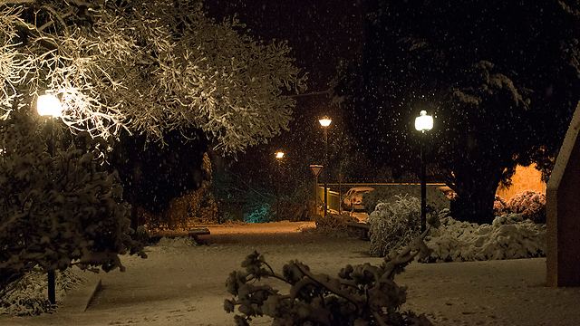 שלג נדיר בכפר גלעדי באצבע הגליל (צילום: ינאי שפרון ) (צילום: ינאי שפרון )