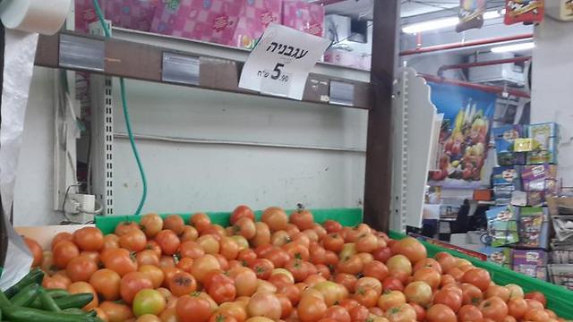 עגבניות בבר-כל ()