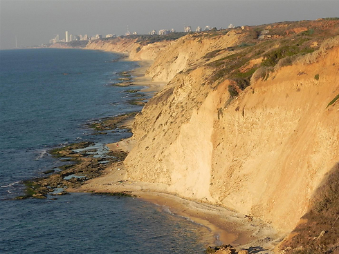מצוק כורכר בחוף הים במתחם אפולוניה בהרצליה (צילום: זיו ריינשטיין) (צילום: זיו ריינשטיין)