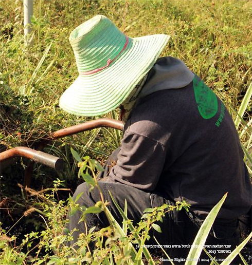 עובדים זרים חקלאות  (צילום: Human Rights Watch)