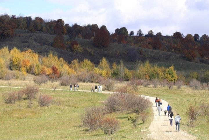 An outdoor trek (Photo: Tazpit News Agency)