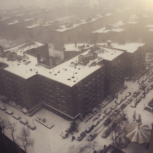 רובע קווינס בניו יורק נצבע לבן (צילום: avi grosz) (צילום: avi grosz)