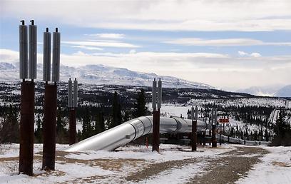 צינור באלסקה. מחיר הנפט מזנק (צילום: shutterstock) (צילום: shutterstock)