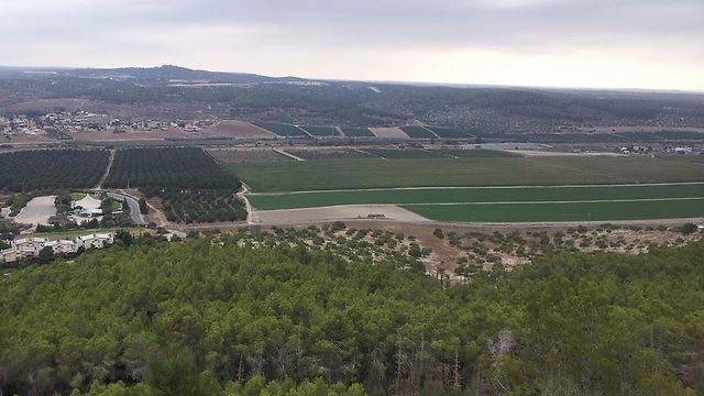 תצפית מרהיבה על הרי יהודה. יער צרעה (צילום: ליאת שומן) (צילום: ליאת שומן)