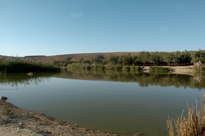 רומנטיקה במדבר. אגם ירוחם (צילום: ארכיון הצילומים קק"ל)