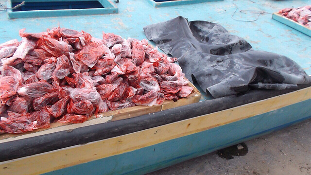 Materials found on boat. (Photo: IDF Spokesman's Unit)