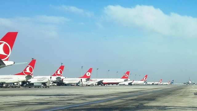 מטוסי טורקיש איירליינס באיסטנבול (צילום: עמית קוטלר) (צילום: עמית קוטלר)