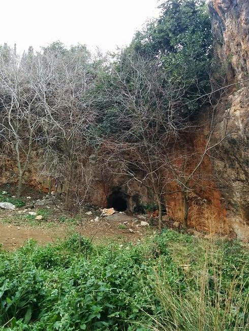 פתח המערה מתוך המכתש (צילום: אמנון גופר) (צילום: אמנון גופר)