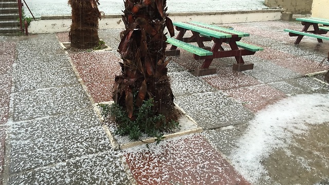 Hail collected on the streets in Haifa (Photo: Lidor Haber) 
